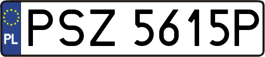 PSZ5615P