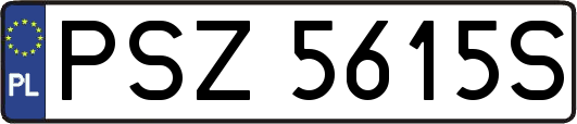 PSZ5615S
