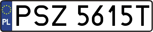 PSZ5615T