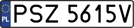 PSZ5615V