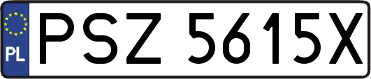 PSZ5615X