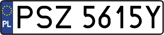 PSZ5615Y