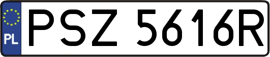 PSZ5616R