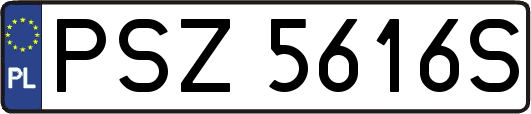 PSZ5616S