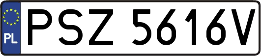PSZ5616V