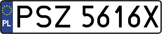 PSZ5616X
