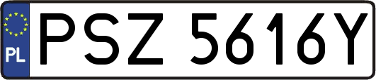 PSZ5616Y