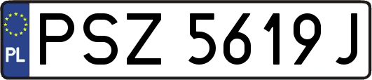 PSZ5619J