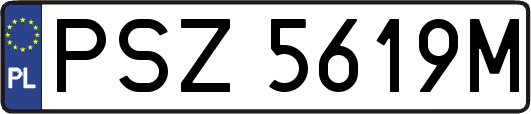 PSZ5619M