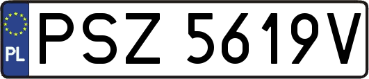 PSZ5619V