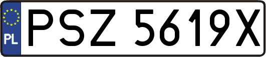PSZ5619X