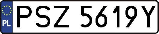 PSZ5619Y
