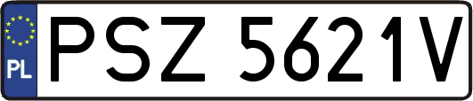 PSZ5621V