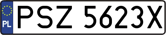PSZ5623X