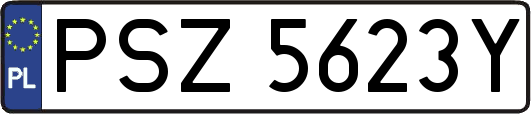 PSZ5623Y
