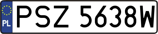 PSZ5638W