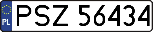 PSZ56434
