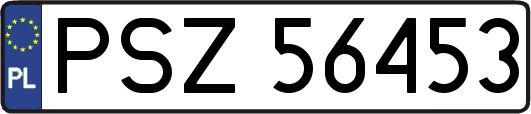 PSZ56453