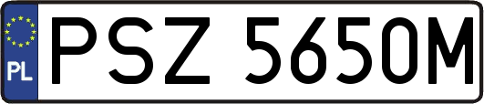 PSZ5650M