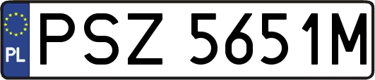 PSZ5651M