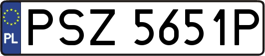 PSZ5651P