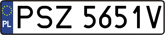 PSZ5651V