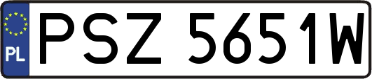 PSZ5651W