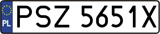 PSZ5651X