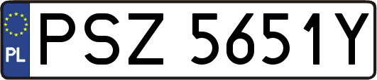 PSZ5651Y