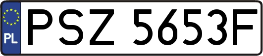 PSZ5653F
