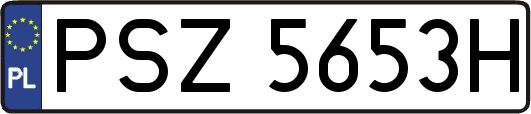 PSZ5653H