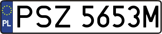 PSZ5653M