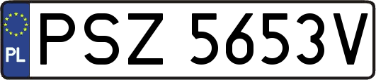 PSZ5653V