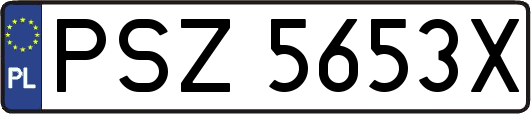 PSZ5653X