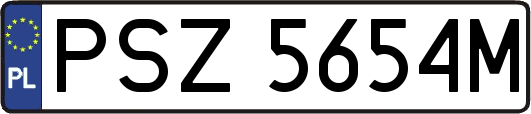 PSZ5654M