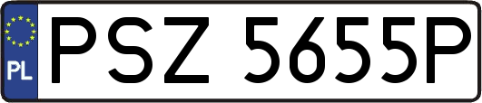 PSZ5655P