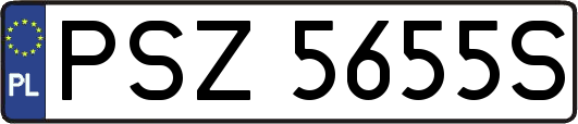 PSZ5655S