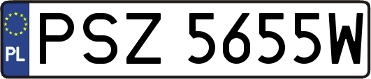 PSZ5655W