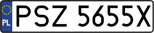 PSZ5655X