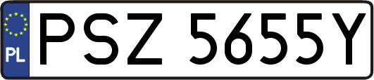 PSZ5655Y