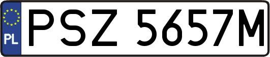 PSZ5657M