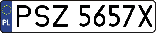 PSZ5657X