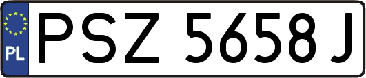 PSZ5658J