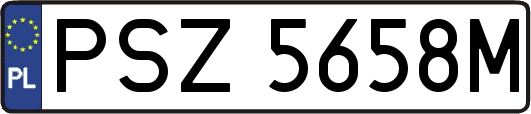PSZ5658M