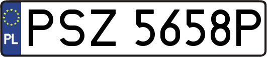 PSZ5658P