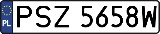 PSZ5658W