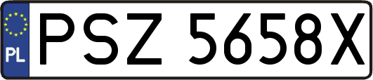 PSZ5658X