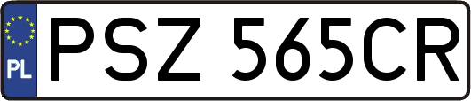 PSZ565CR