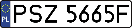 PSZ5665F