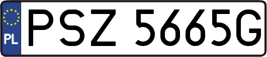 PSZ5665G